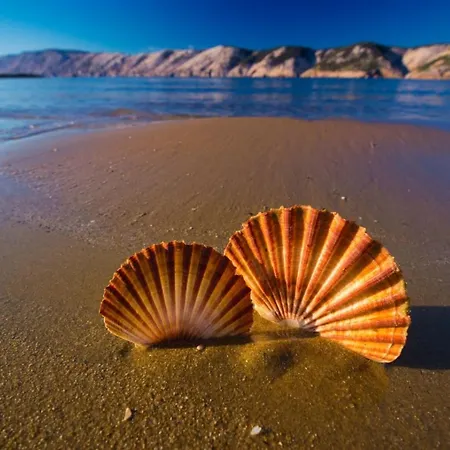 Lägenhet Barbat Barbat na Rabu