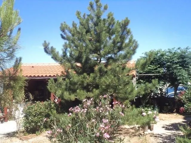 Barbat Barbat na Rabu