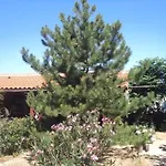 Barbat Barbat na Rabu