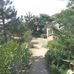 Barbat Barbat na Rabu