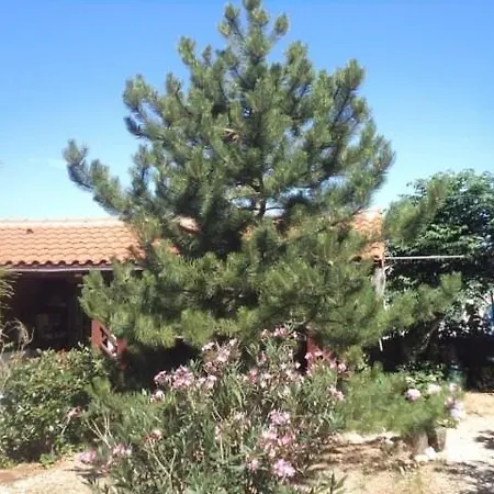 Barbat Barbat na Rabu