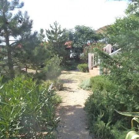 Barbat Barbat na Rabu