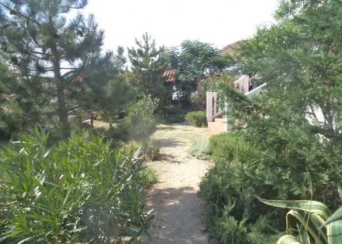 Barbat Barbat na Rabu